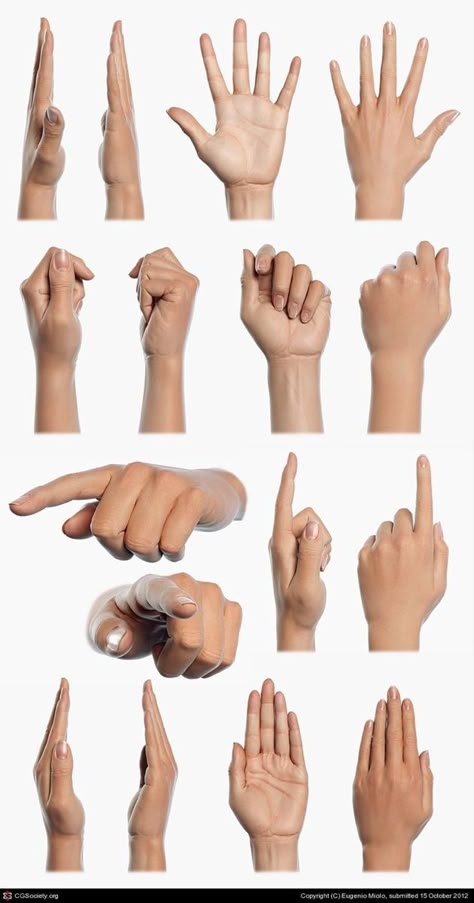 Hand Reference For Drawing, Realistic Hand Reference, Hand Reference Woman, Women Hand Reference, 3d Hand Reference, Womans Hand Reference, Woman Hands Reference, Women Hand Drawing, Simple Hand Reference