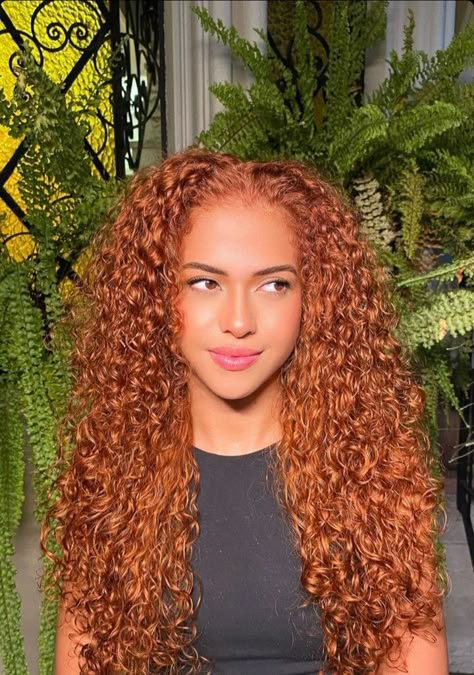 Ginger Hair Color On Curly Hair, Ginger Hair Light Skin Women, Ginger Brown Curly Hair, Copper Hair Curly, Auburn Curly Hair, Copper Curly Hair, Ginger Copper Hair, Ginger Curls, Copper Curls