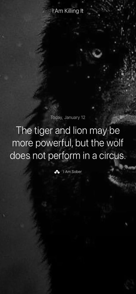 The tiger and lion may be more powerful, but the wolf does not perform in a circus. #iamsober A Lion Doesn't Concern Himself, Wolf Mentality, Wolf Circus Jewelry, Inside Of You There Are 2 Wolves, The Tiger And The Lion May Be Powerful, Circus Animals, Androgynous Fashion, Circus, Lion