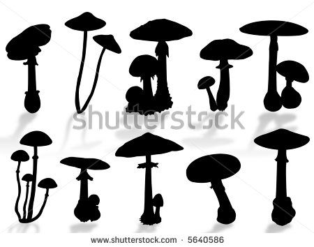 Fungi Images, Shadow Silhouette, Plant Fungus, Forest Illustration, Silhouette Illustration, Animal Silhouette, Silhouette Portrait, Copyright Free, Mushroom Art