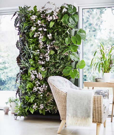 The Living plant wall is one of the hottest new gardening trends of 2018. Create your own piece of plant heaven with this step-by-step guide from Dobbies Plants On The Wall, Living Plant Wall, Living Wall Indoor, Living Wall Planter, Plant Walls, Indoor Plant Wall, Gardens Of Babylon, Vertical Garden Indoor, Plant Room Ideas