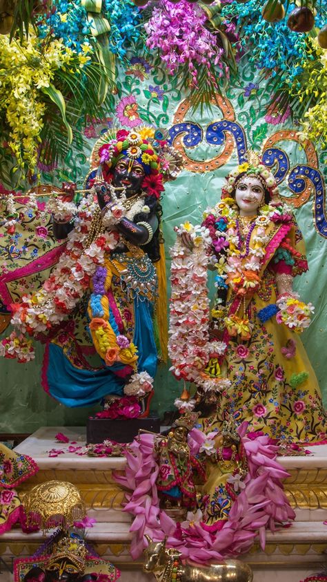 Radha Krishna Temple, Green Nature Wallpaper, Rihanna Cover, Iskcon Vrindavan, Gyan Mudra, Lion Live Wallpaper, Radha Krishna Holi, Iskcon Krishna, Shri Radha