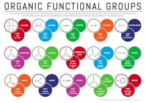 ¿Es o no es un bonito material de estudio para aprender las funciones orgánicas), Functional Groups in Organic Compounds College Chemistry, Chemistry Help, Organic Chem, Organic Chemistry Study, Chemistry Posters, Ap Chemistry, Chemistry Classroom, Chemistry Education, Functional Group