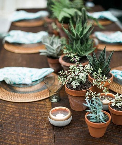 Mexican Wedding Centerpieces, Zero Waste Wedding, Spring Wedding Centerpieces, Wedding Plants, Succulent Wedding Favors, Wedding Reception Table Decorations, Simple Wedding Centerpieces, Wedding Aisle Decorations, Wedding Dessert Table