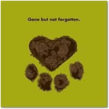 Gone but not forgotten <3 Pet Quotes, Loss Of Pet, Sympathy Quotes, Game Mode, Pet Sympathy, Gone But Not Forgotten, Dog Memorial, Losing A Pet, Animal Quotes