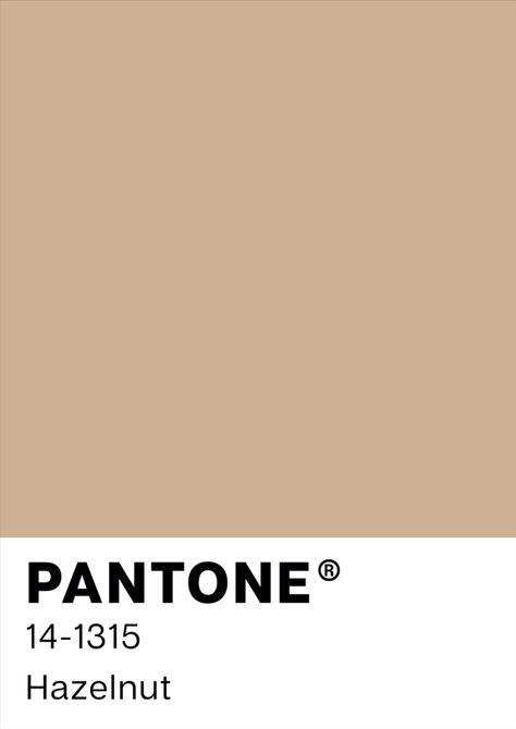 Pantone Shade Card, Soft Poster, Pantone Poster, Pale Dogwood, Branding Moodboard, Pantone Color Chart, Home Idea, Pantone Palette, Pantone Colour Palettes