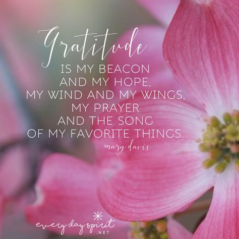 Hello Spring Quotes, Springtime Quotes, Spring Blessings, Spring Quotes, Background Pics, Daily Blessings, My Prayer, Nature Spring, Easter Religious