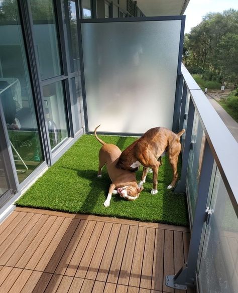 Dog Space On Balcony, Apartment Patio Fake Grass Ideas, Dog Area On Balcony, Small Patio Dog Area, Balcony Ideas Apartment Dog, Balcony Pet Area, Apartment Patio For Dogs, Apartment Patio Dog Potty, Apartment Balcony For Dogs