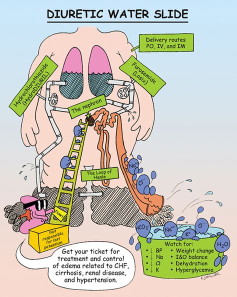 Diuretics Pharmacology, Nursing Pharmacology, Nursing Information, Nursing Board, Nurse Study Notes, Nursing Mnemonics, Pharmacy School, Medical Student Study, Pharmacology Nursing