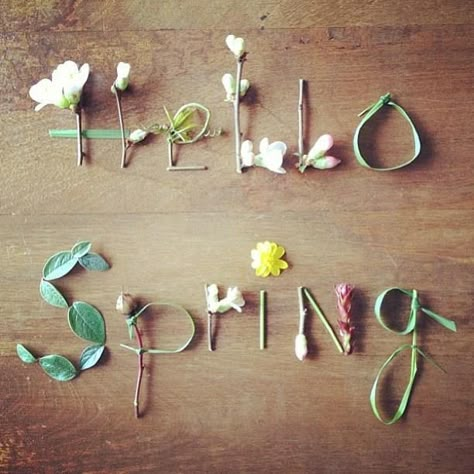 First day of SPRING is on the 20th.                                                                                                                                                                                 Mehr Diy Frühling, Spring Forward, Spring Equinox, Word Love, Foto Tips, First Day Of Spring, Bohol, Spring Fever, Spring Fling