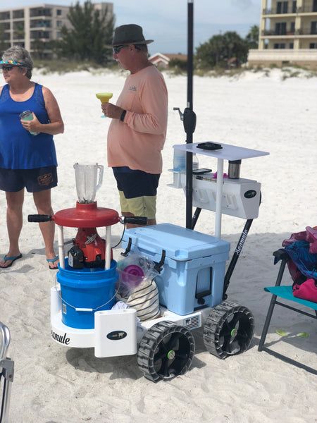 Beach Wagon Diy, Pier Cart, Beach Wagon Cart, Fishing Cart, Folding Cart, Beach Wagon, Wagon Cart, Happy Black Friday, Beach Cart