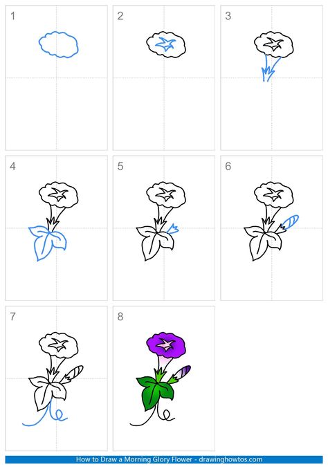 How to Draw Morning Glory Flower - Step by Step Easy Drawing Guides - Drawing Howtos How To Draw A Morning Glory, Drawing Morning Glories, How To Draw A Morning Glory Step By Step, Morning Glory Flowers Drawing, Morning Glory Drawing, Doodle Stitch, Draw A Sunflower, Dish Painting, White Narcissus