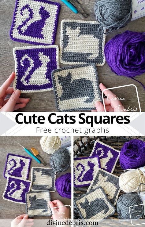 Cozy Hobbies, Crochet Cats, Friends Crochet, Squares Crochet, Night Activities, Graph Patterns, Crochet Graph, Granny Square Crochet Patterns Free, Graph Crochet