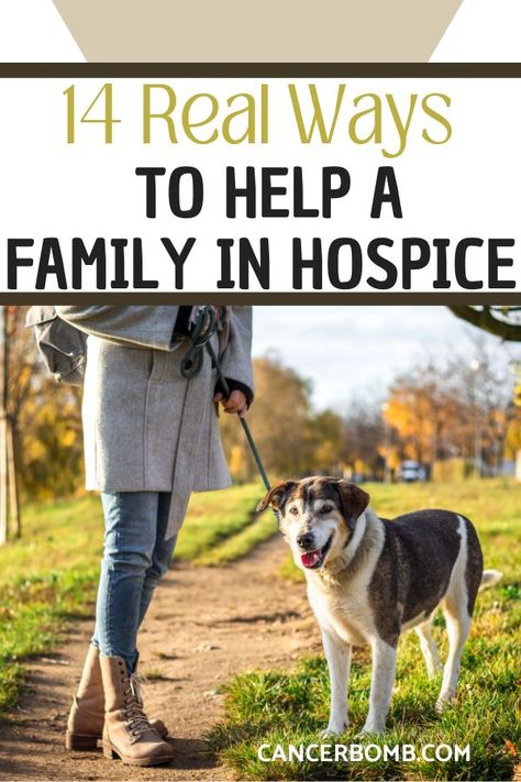 Woman walking a dog in the fresh country air along the river path. Hospice Caregiver, Hospice Gifts, 7 Day Healthy Meal Plan, Caregiver Quotes, Healthy Meal Plan, Caregiver Resources, Hospice Nurse, Caregiver Support, Nursing School Survival