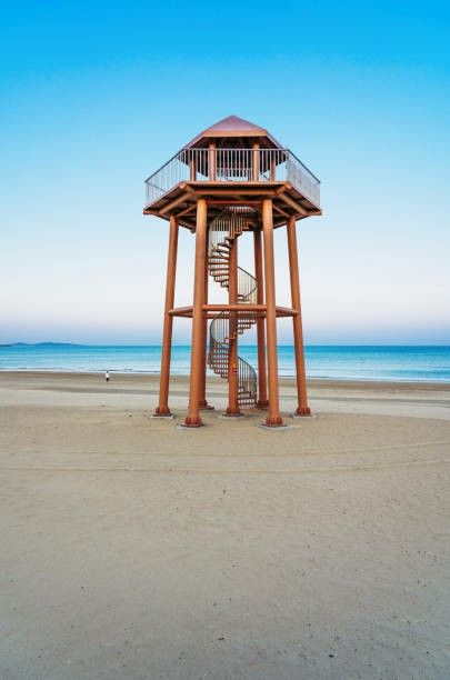 Watch Tower Design, Watchtower Architecture, Watch Tower Architecture, Elevated Houses, Observation Tower Architecture, Bird Watching Tower, Watching Tower Architecture, Fish Viewing Tower, Bird Watching Tower Architecture