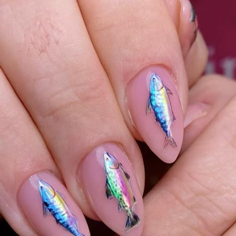 Katie R 🔥💅🏻 on Instagram: "What can I say - we love mackerel and we love salmon 🤷🏻‍♀️🤣 🐟🩷🐠  Been wanting to do a fish set like this for ages 🙌🏼 and finally a month ago this happened 🙌🏼 …. Yup … a month … I’m super behind on my posts as usual 🤣🙈   .  . Created using @kkookie.uk  enoi iridescent powder🩷 DGel gel paint 🩷  Use my code KATIE10 for £ off 🩷  @omyetc  cuticle butter 🩷  Use my code KATIEETC for £ off 🩷   @nailorder  Angel 🩷 . . . . . . . All hand painted 👩🏼‍🎨💖 ——————————————————  #ikatieru #nailsuk #nailtech #nailswag  #naildesign #lovenails #lovemynails #lovenailart #instagood #instanails #instafashion #gelspolish #aberdeen #scotland #showscratch #nailmob #nailitdaily #nailsmagazine #nailpro #handpainted #aberdeennails  #meme #nailmemes #memesdaily #handpa Tinned Fish Nails, Marine Biology Nails, Sardine Nail Art, Axolotl Nail Art, Fish On Nails, Fishing Nails Designs, Fish Nail Design, Sardine Nails, Fish Nails Designs