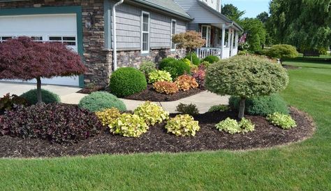 landscape ideas for around a house in midwest - Plasko Interactive Yahoo Image Search Results Backyard Trees Landscaping, Island Landscaping, Sidewalk Landscaping, Outdoor Landscape Design, Backyard Trees, Walkway Landscaping, House Landscaping, Front Landscaping, Landscape Plans