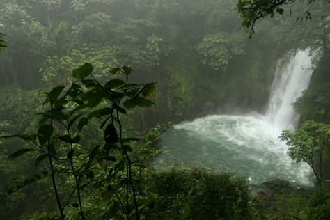 Freetime Activities, Pretty Landscapes, Nature Aesthetic, Pretty Places, Green Aesthetic, Lush Green, Mother Earth, Pretty Pictures, Mother Nature