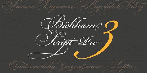 Bickham Script, Script Typeface, Great Fonts, Favorite Fonts, Types Of Lettering, Script Type, Brush Font, Logo Restaurant, Calligraphy Letters