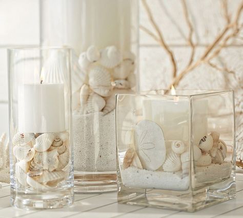 Shells and sand dollars : Perfect for little accents on cocktail ... Strand Decor, Sand Vase, Deco Marine, Maritime Decor, Rustic Wedding Decorations, Shells And Sand, Shell Decor, Beach Diy, Beach Christmas