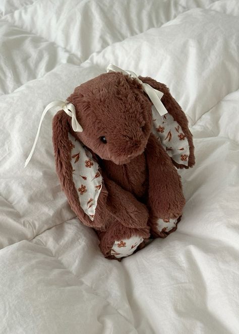 Bunny Jellycat, Dream Future Life, Huggable Teddy Bear, Liquid Smooth, Cute Stuffies, Teddy Boy Style, Jellycat Bunny, Rabbit White, Brown Rabbit