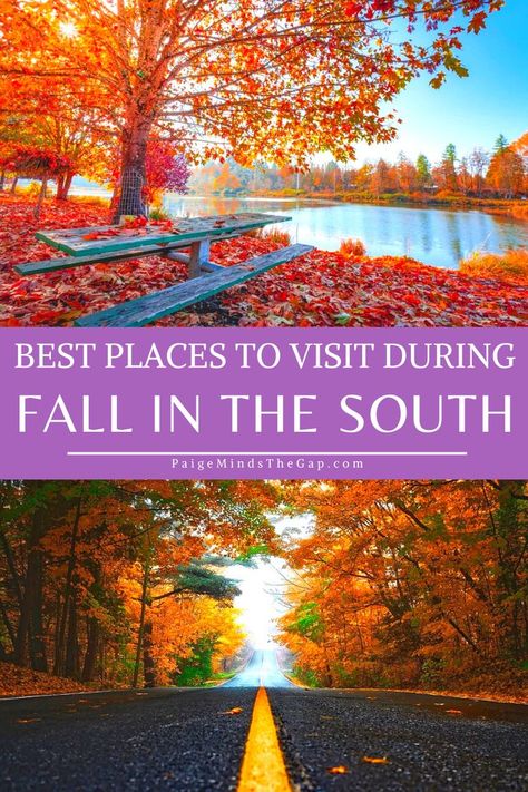 The Best Fall Destinations in the South | Fall is a great time to visit the South. With mild temperatures and low humidity, the autumn season brings a refreshing change to the Southern states. If you’re planning an autumn getaway in the South, check out these top fall destinations. Best Places to Experience Fall in the South. There’s no doubt about it: the South is perfect for a fall getaway! Fall and autumn fun in the Southern United States. | Find more travel tips at PaigeMindsTheGap.com Weekend Getaways In The South, Fall In The South, Fall Weekend Getaway, Fall Destinations, Fall Road Trip, Southern States, Fall Vacations, Fall Getaways, Hello November