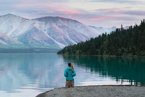 The Best National Park in America? A Guide to Lake Clark National Park https://www.reneeroaming.com/lake-clark-national-park-guide/ Glacier Bay Alaska, National Parks America, Amazing Places To Visit, Lake George Ny, Indiana Dunes, Kenai Fjords, Brown Bears, Glacier Bay, Usa Travel Guide