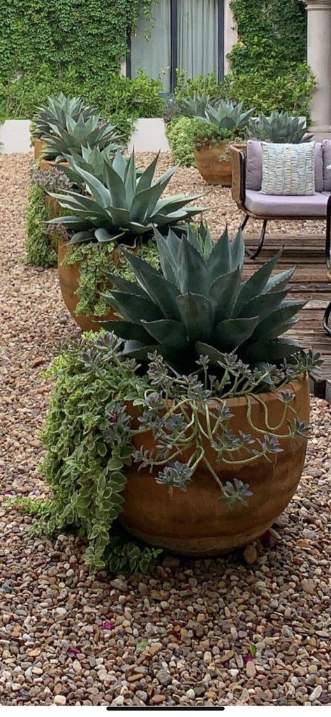 Desert Spanish Landscaping, Dessert Style Landscaping, Potted Succulents Outdoor Patio, Potted Backyard Landscaping, Agave Container Garden, Landscape With Succulents, Rock Landscape With Potted Plants, Agave Landscaping Ideas, Southwest Front Yard Landscaping