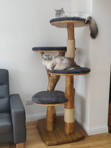 Cat Condo Diy, Cat Trees Homemade, Cat Scratcher Tree, Luxury Cat Tree, Wooden Cat Tree, Cat Climbing Tree, Diy Cat Tree, Modern Cat Tree, Cat Sanctuary