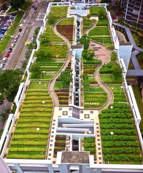 Rooftop park. A garden on top of the roof of a multi-storey car park in Toa Payo , #AFF, #top, #roof, #multi, #Rooftop, #park #ad Rooftop Garden Urban, Green Roof Garden, Roof Garden Design, Eco Buildings, Front Garden Landscape, Urban Landscape Design, Rooftop Design, Roof Architecture, Building Roof