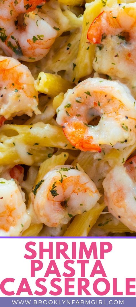 Shrimp Pasta Dishes Recipes, Pescatarian One Pot Meals, Shrimp And Macaroni, Recipes With Large Shrimp, One Pan Shrimp Pasta, Recipes Using Campbells Cream Of Shrimp Soup, Shrimp And Egg Noodles Recipes, Shrimp Pasta Bake Recipes, Casseroles With Shrimp