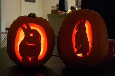 Bunny Pumpkins Halloween 2010 Rabbit Pumpkin Carving, Bunny Pumpkin Carving, Cheshire Cat Pumpkin, Cat Face Pumpkin, Bunny Pumpkin, Pumpkin Face Carving, Cat Pumpkin Carving, Halloween 2010, Rabbit Halloween