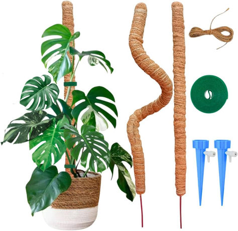 2 Pack 30 Inch Moss Pole, Bendable Moss Pole for Plants Monstera, Plant Stakes for Indoor Plants, Tall Plant Sticks Support, Moss Pole for Climbing Plants, Stakes for Potted Plants, Coco Coir Poles House Plant Accessories, Plant Sticks, Plants Monstera, Moss Pole, Plant Ties, Coco Coir, Plant Stakes, Support Plante, Cheese Plant