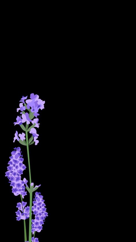 Snowy Pictures, Black Phone Background, Purple Flowers Wallpaper, Beautiful Flowers Photos, Cute Tumblr Wallpaper, Purple Wallpaper Iphone, Soft Wallpaper, Cute Simple Wallpapers, Wallpaper Space