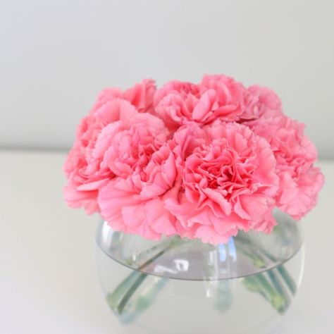 Rookie Mistake: Shop First, Plan Second Random Decorations, Carnation Centerpieces, Dianthus Caryophyllus, Fresh Wedding Flowers, Diy Playbook, Vase Flowers, Bowl Vase, Cheap Flowers, Diy Arrangements