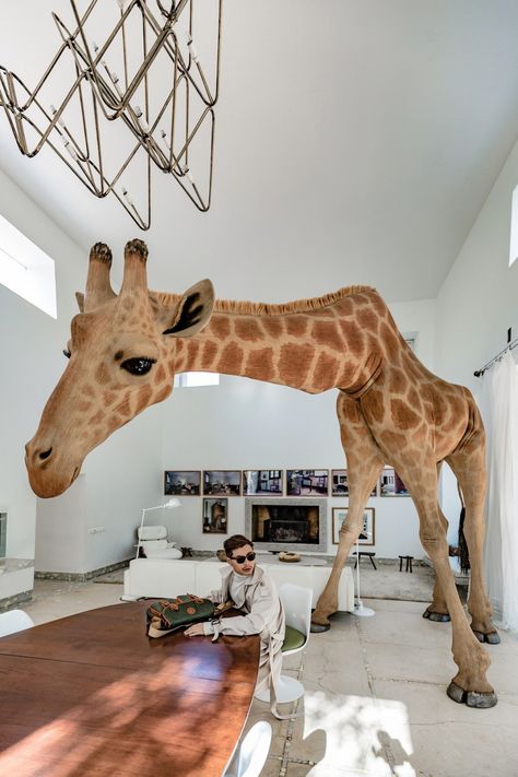 Giraffe Decor Living Room, Jungle Restaurant, Giraffe House, South African Architecture, Moody Maximalist, Giraffe Images, Art In House, Paper Clay Art, Animal Mounts