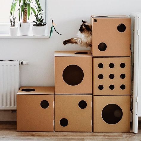 Apartment With Cat, Cat House Diy Cardboard, Diy Jouet Pour Chat, Playhouse Furniture, Cat Equipment, Katt Grejer, Chat Diy, Cardboard Cat House, Cave Bed