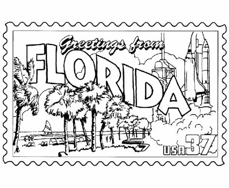 Florida State Flag, Florida Flag, Flag Coloring Pages, House Colouring Pages, State Symbols, Jet Plane, Disney Coloring Pages, State Of Florida, U.s. States