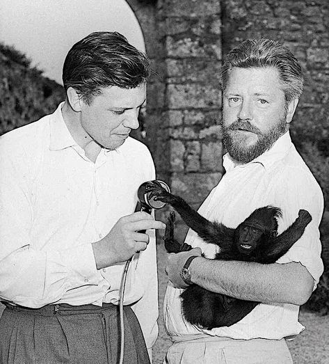 David Attenborough with Gerald Durrell (1959) David Attenborough Young, Monkey Photos, Happy 92nd Birthday, Ugly Monkey, The Durrells In Corfu, Gerald Durrell, Anime Wallpaper 1920x1080, Fox Family, David Attenborough