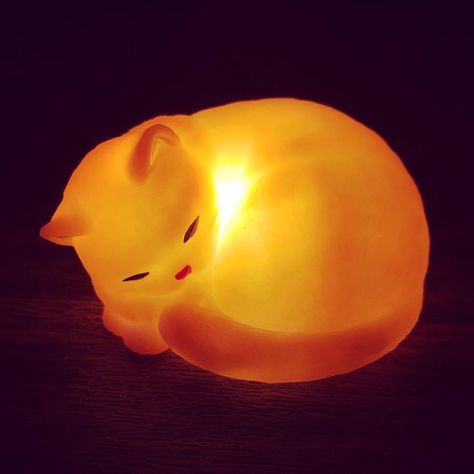 Infinity Lights, Quirky Furniture, Cat Lamp, Animal Lamp, Cute Night Lights, Tom Y Jerry, Ideas Decoracion, Gamer Room, Money Making Hacks