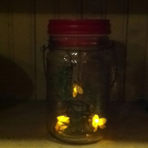 Lighted firefly jars.  Battery operated Firefly Jar Aesthetic, Firefly Asthetic, Firefly Aesthetic, Fireflies Aesthetic, Firefly Jar, Grouchy Ladybug, Renew Vows, Fireflies In A Jar, Summer List