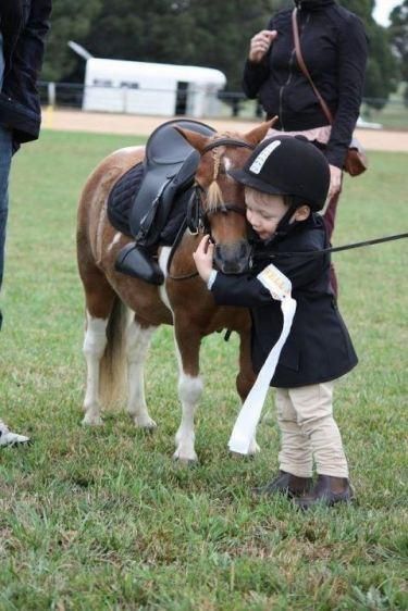 You can never love your first horse or pony enough. Mini Horse, Miniature Horse, Horse Crazy, Cute Horses, Appaloosa, Pretty Horses, Quarter Horse, Horse Pictures, Horse Love