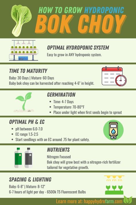 Everything you need to grow hydroponic bok choy indoors. Make sure you pay attention to the lighting requirements for indoor bok choy. Check out the article to learn how to harvest hydroponic bok choy, and more! Grow Kale, Hydroponic Gardening Diy, Indoor Hydroponic Gardening, Hydroponic Lettuce, Hydroponic Gardening System, Hydroponic Vegetables, Growing Cilantro, Aquaponics Greenhouse, Growing Spinach