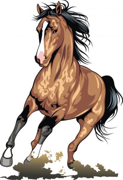 Horse Illustration Art, Horse Vector, معرض فني, Cardinal Painting, Horse Art Drawing, Free Horses, Horse Illustration, Horse Artwork, Brown Horse