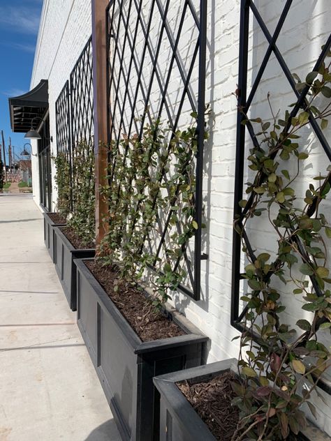 Trellis With Planter Boxes, Trellis Box Planter, Black Trellis White House, Potted Trellis Ideas, Black Planter Boxes, Trellis Planter Boxes, Lattice Trellis Ideas, Planter Boxes With Trellis, Planters With Trellis