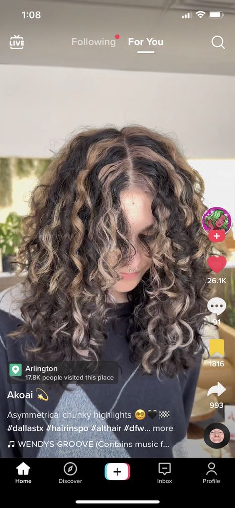 Dyed Brown Hair Ideas Colour, Streaks In Hair Curly, Natural Hair Dies Ideas, Curly Hair Color Streaks, Curly Skunk Highlights, Curly Striped Hair, Curly Hair Streaks Highlights, Cool Hair Dye Ideas Curly Hair, Two Color Dyed Hair