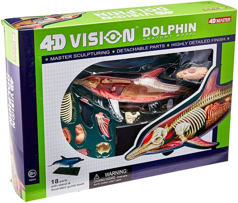 Dolphin Anatomy, Zoology Career, Elephant Anatomy, Biology Games, Best Christmas Toys, Anatomy Models, Computer Room, Class Room, Breastfeeding And Pumping