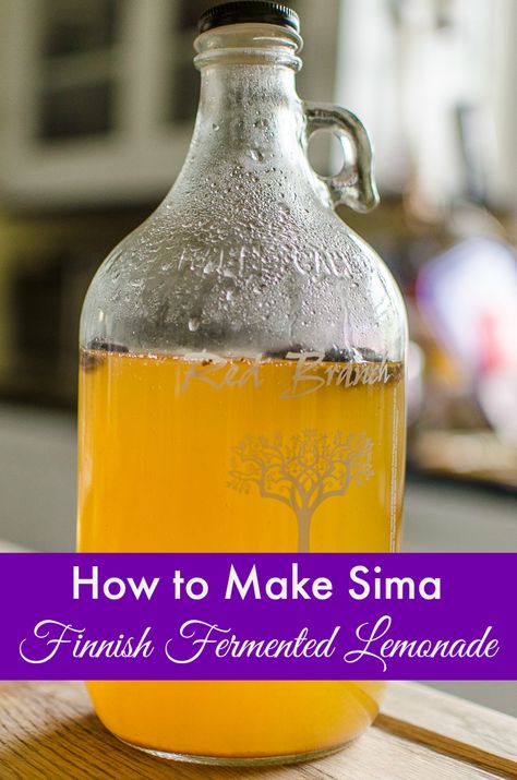 How to make sima, Finnish fermented lemonade. Sima is a easy and healthy probiotic spring drink recipe from Finland. It uses ingredients you probably have in your cupboard right now! Pin this sima recipe and let me know what you think! Sima Recipe, Fermented Lemonade, Finnish Recipes, Food Experiments, Rustic Recipes, Fermented Tea, Fermentation Recipes, Lemon Drink, Fermented Drink