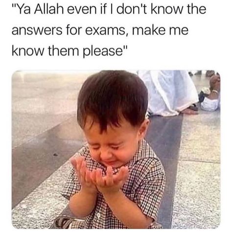 Exam Memes, Muslim Meme, Exams Memes, Exam Season, Final Exam, Cute Jokes, Whole New World, Muslim Book, School Memes