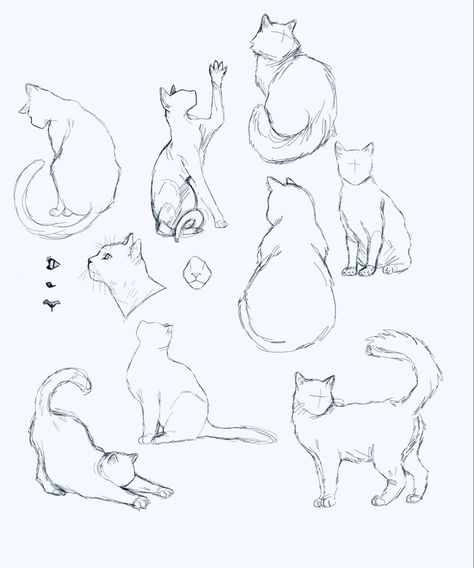 Cat Back Drawing, Cats Anatomy, Cat From The Back Drawing, Women Back Drawing Reference, Cat Sitting Pose, Cat On Shoulder Drawing, Cat Poses Drawing, Anime Cat Side Profile, Warrior Cat Poses Drawing Reference